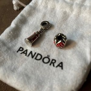 Pandora (retired) charms